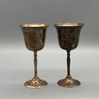 Front view of both tarnished silver-plate goblets showing form and wear