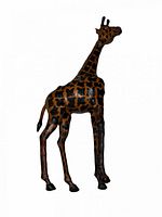 Full view of papier-mâché giraffe figurine