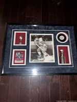 Full view of framed display showing all inset items