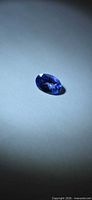Top view of oval faceted deep blue tanzanite on neutral background