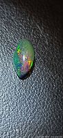Top view of marquise cabochon black opal displaying multicolour play