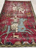 Full view of the rug showing pictorial design and border