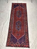 Full view of entire Zanjan runner rug