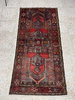 Full view of Zanjan wool runner rug showing overall pattern and dimensions