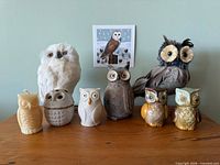 Front view of eight owl items and illustration