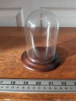 Full view of glass dome on wooden base with ruler for scale