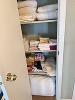 Full view of closet showing pillows, sheets, towels, dish cloths, rugs, steamer, storage bag