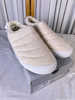 Full view of pair of slip-on shoes resting on original box