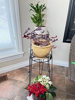 Overall view showing both metal stands and all three potted plants