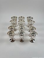 All 12 goblets arranged to show both styles