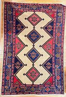 Full view of rug showing overall pattern and borders