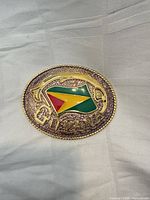 Front view showing Guyana flag design, lettering, rope edge, overall colour