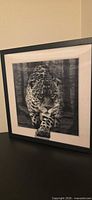 Front view of framed 3D lenticular leopard picture