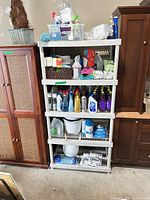 Full shelving unit with assorted cleaners and buckets