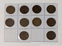 Front view showing all 12 coins in plastic sheet
