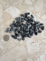Pile of tumbled snowflake obsidian stones beside quarter