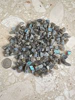 Overhead view of full pile of raw labradorite chips next to coin for scale