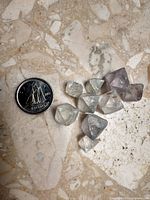 Nine raw fluorite chunks beside Canadian dime for scale