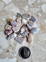 Group of tumbled opal slices beside 10-cent coin for scale