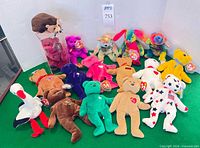 All plush items arranged, showing variety and Steve Young bear in case