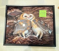 Front view of framed barn owls photograph