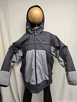 Front view of hooded Boardsports jacket on mannequin