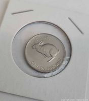 Rabbit 5 cent coin obverse side in holder