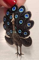 Front view of sterling silver peacock brooch with blue enamel feathers