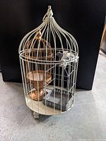 Contents inside large cage for scale