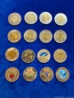 Group shot of all 16 commemorative coins arranged in four rows