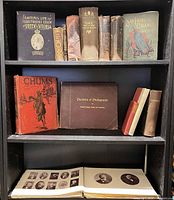 Overall view of books on shelves showing decorative bindings and albums