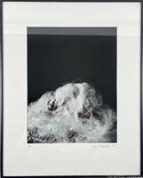 Framed photograph showing image area and artist signature on mat