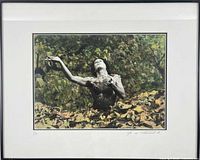 Framed hand-coloured silver print photograph overall view