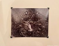 Framed view of the mounted silver print on wall