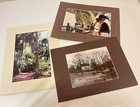 Overview of three matted photographs