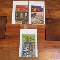 All three bagged comic books arranged on table