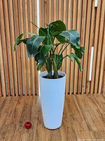 Full view of planter and plant against wood slat wall