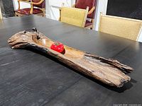 Oblique top view showing length and exterior texture