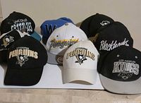 Front view showing nine sports team caps