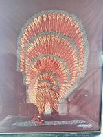 Full view of framed peacock textile artwork