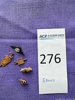 All five pins and charms grouped on fabric with lot tag