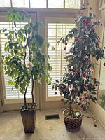 Both artificial trees side by side showing full height and planters