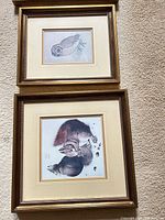 Two framed prints, owl above squirrels, showing frame style and matting