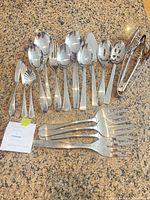 All 18 stainless serving pieces laid out on countertop