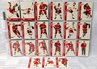 Full view of 21 Parkhurst Detroit Red Wings cards in plastic sheet