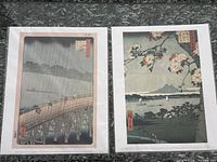 Both prints side-by-side in plastic sleeves