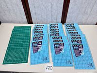 overview showing stacks of blue Zoid mats and green mats