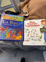 Front covers of two large illustrated books