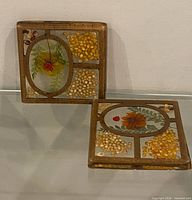 Two square Lucite trivets showing embedded seeds, flowers, ladybug design