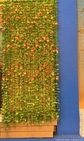 Sample curtain hung showing green leaves and red apple accents